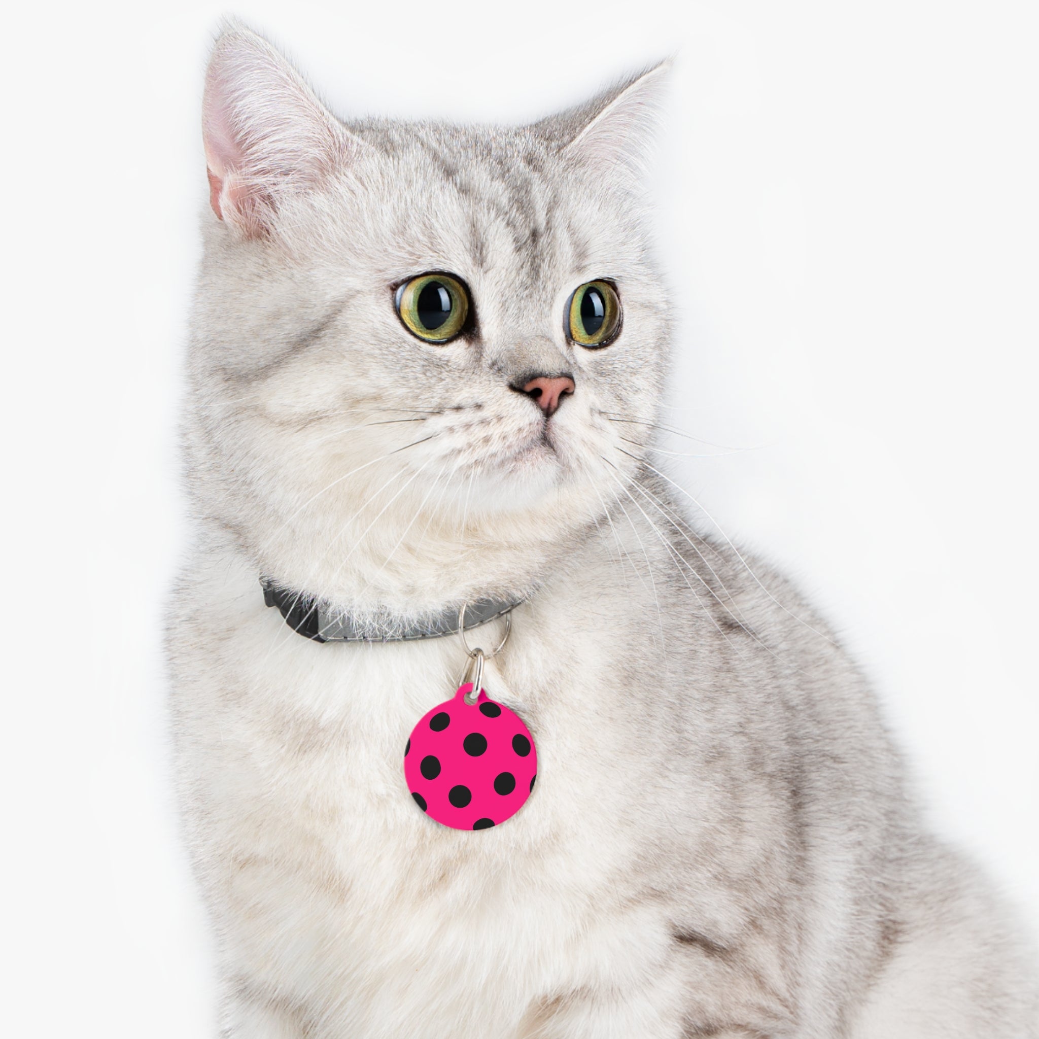 Pink Polka Dot Pet Tag — Cute Black Dot ID Collar Charm