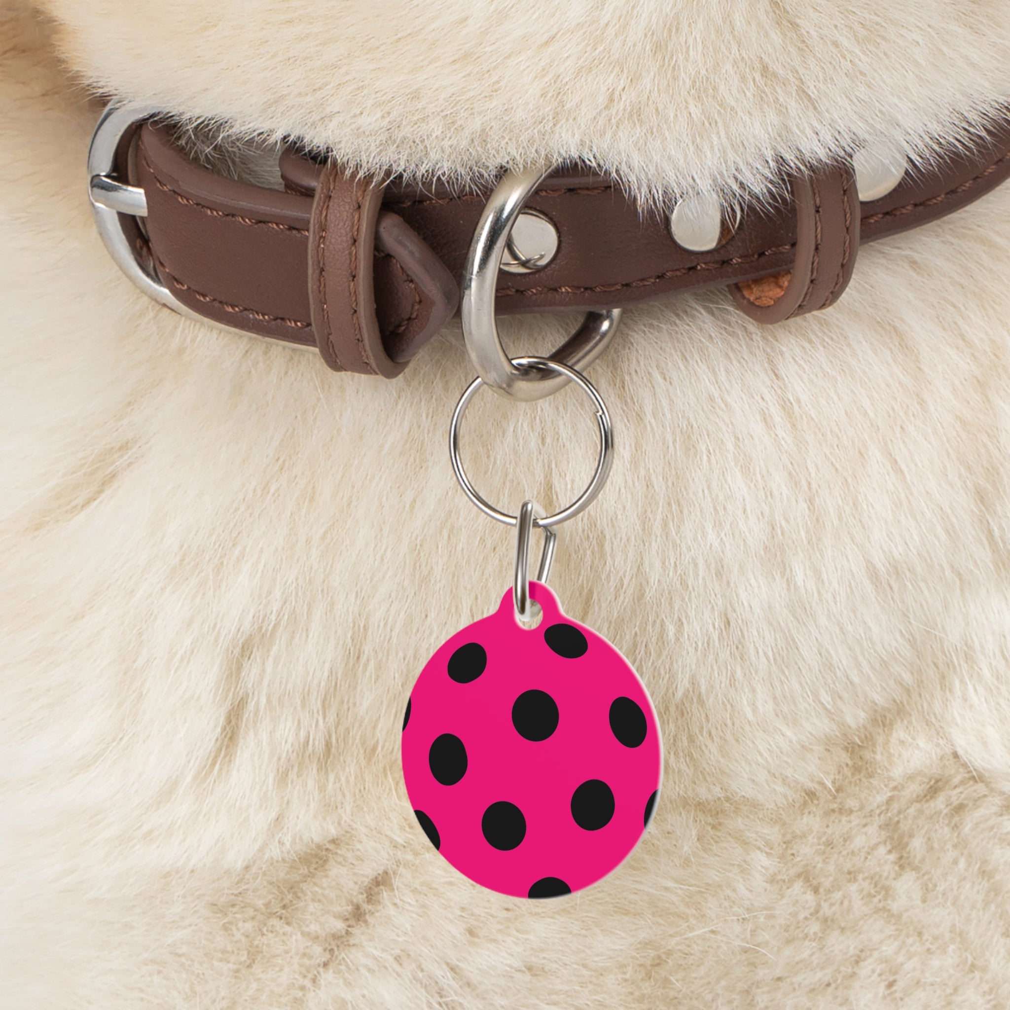 Pink Polka Dot Pet Tag — Cute Black Dot ID Collar Charm